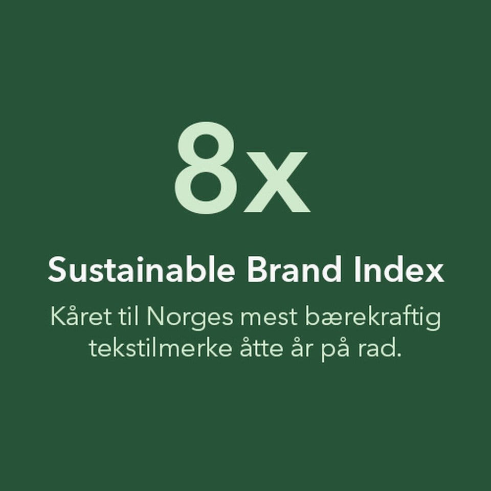 Sustainable Brand Index